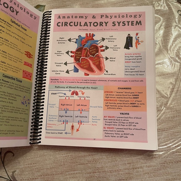 The Nursing School Antidote Book - Picture 8 of 9